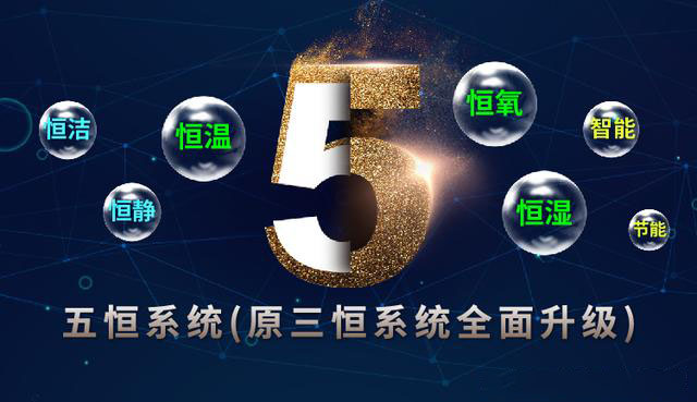 五恒系统的发展受哪些因素影响？