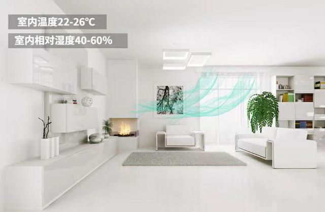 五恒系统的发展受哪些因素影响？